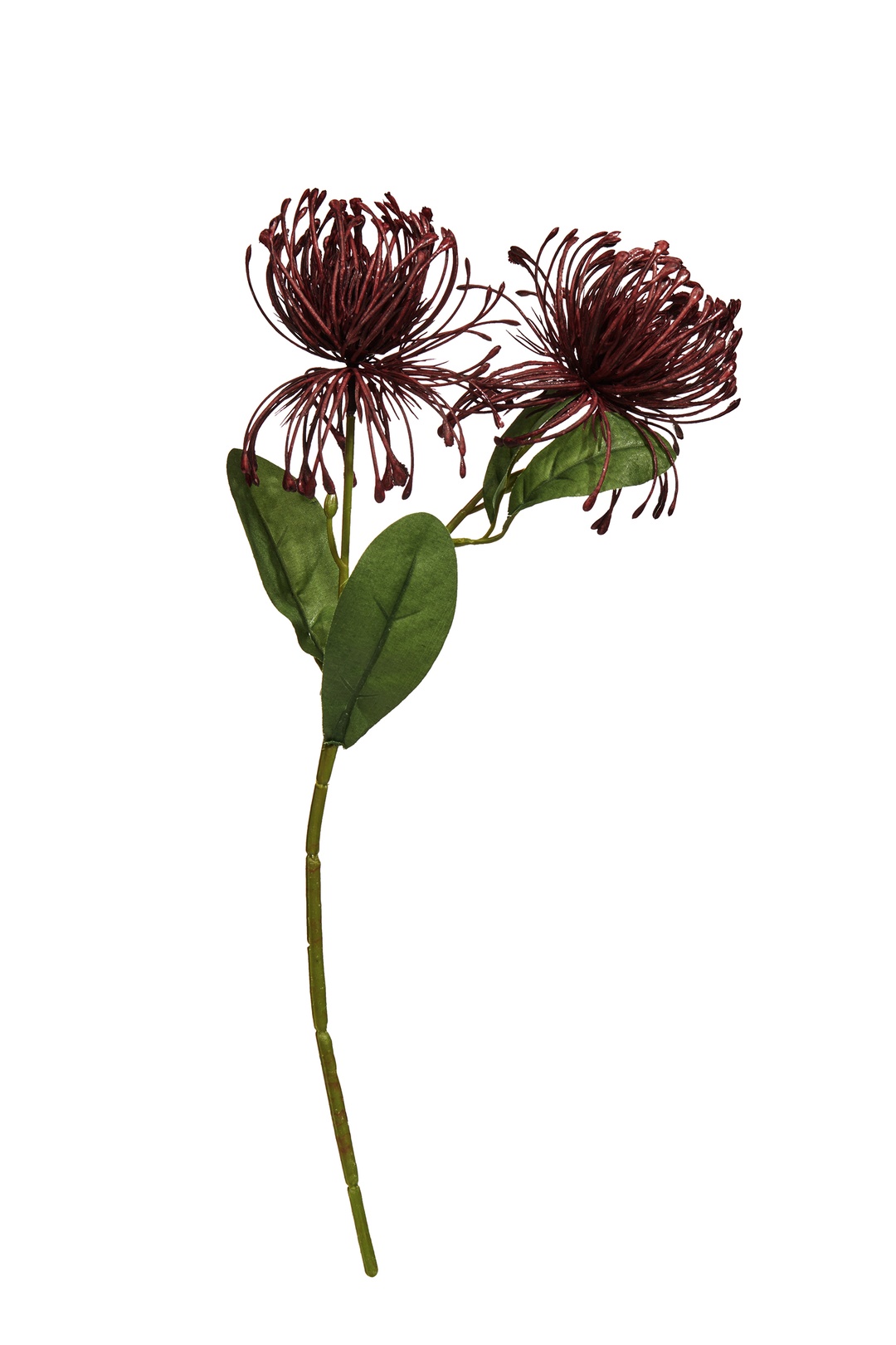 Mürdüm Pincushion 41 cm