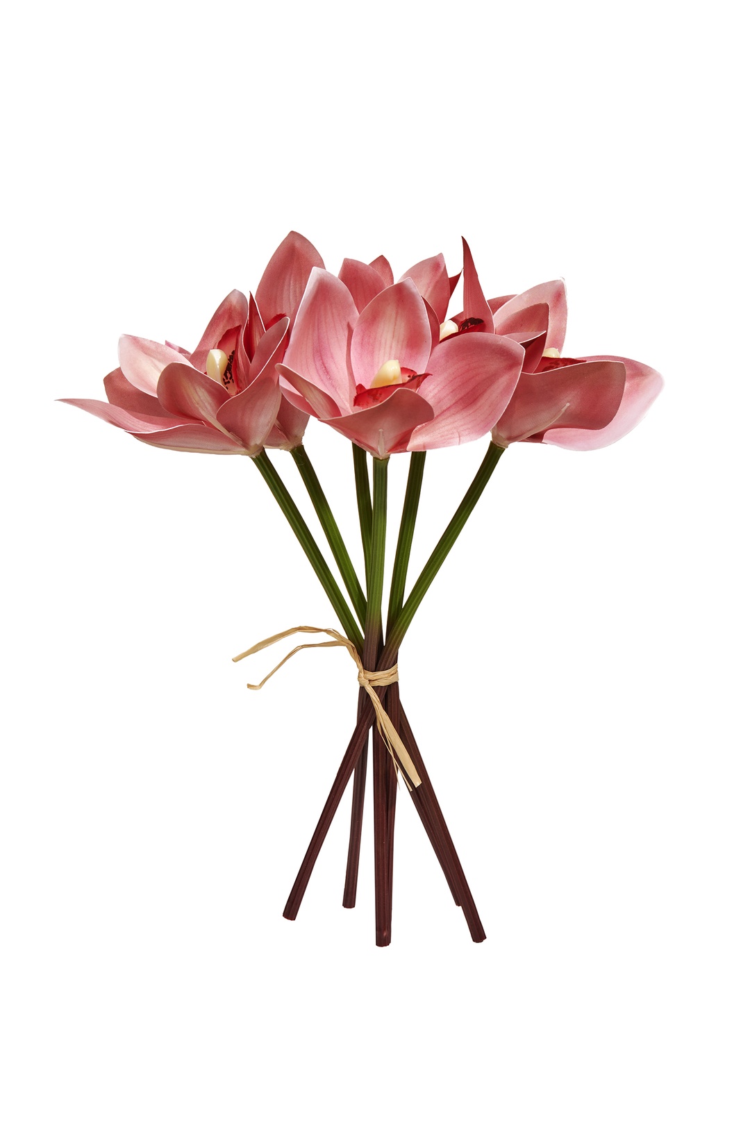 Orkide Demeti 25 Cm