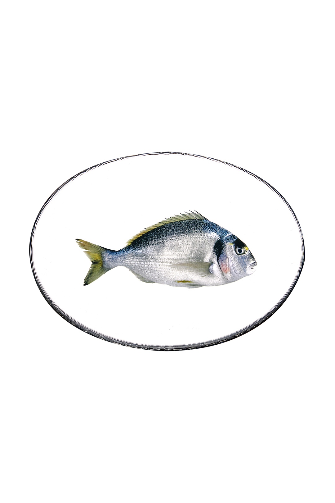 Olta Meze Tabağı Füme