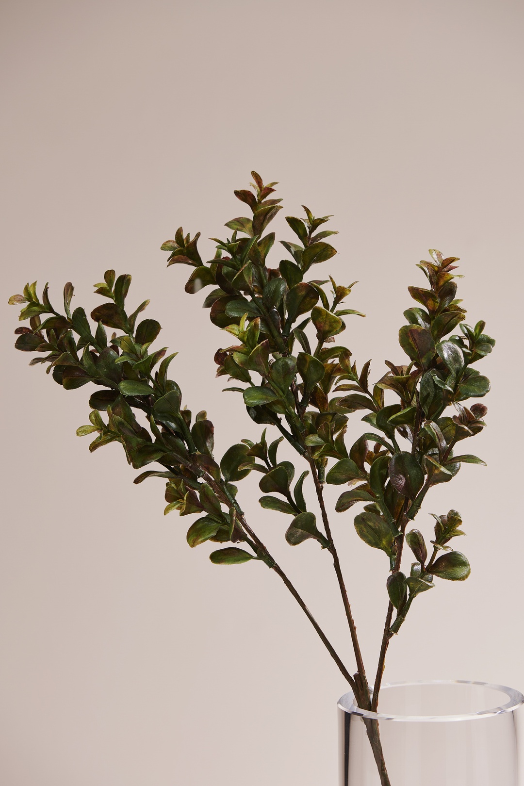 Şimşir Dalı 60 cm