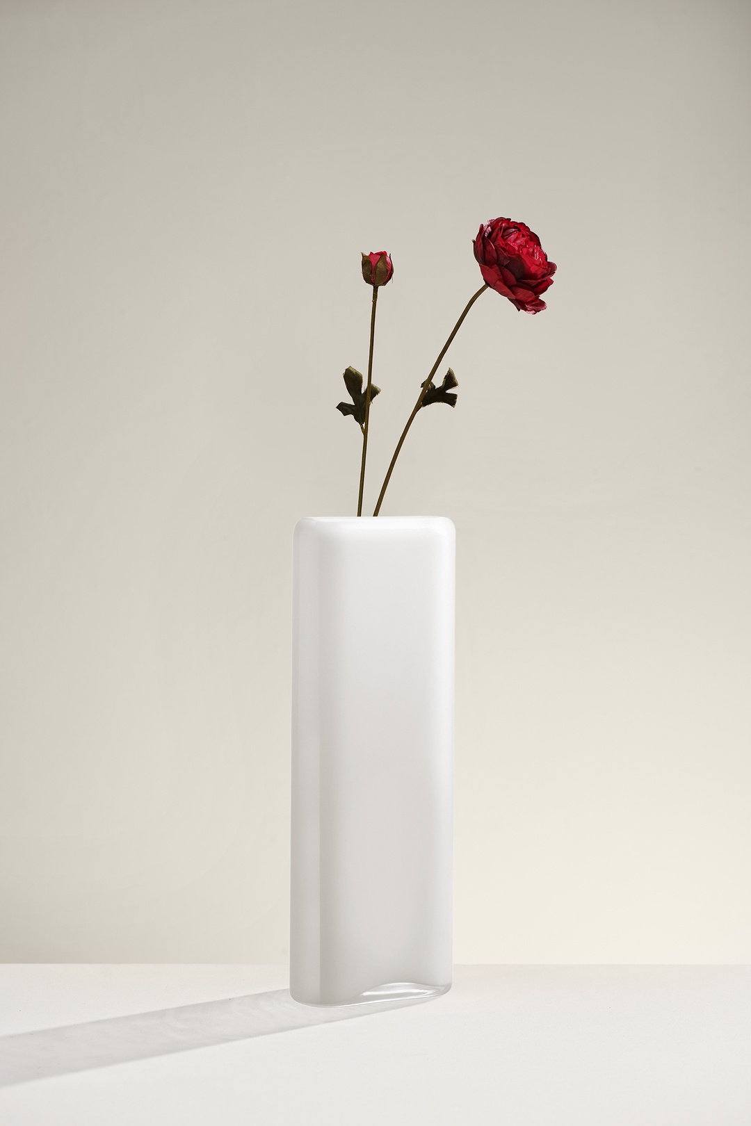 Ranunculus Çiçeği Kırmızı 65 cm