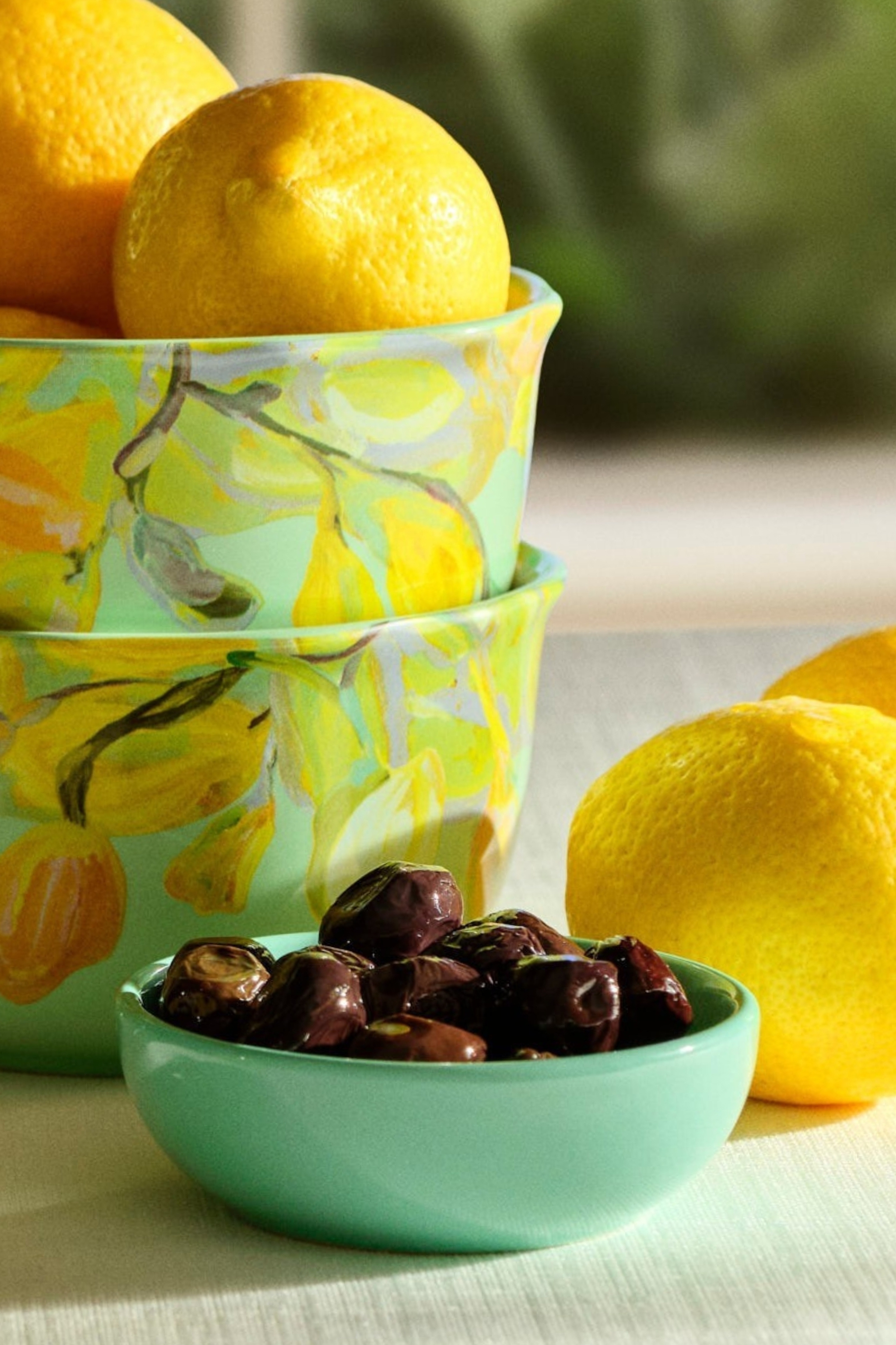 Bahar Ürünleri Collection Products and Prices - Paşabahçe