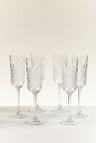 Timeless Champagne Glass Set of 6 175 CC