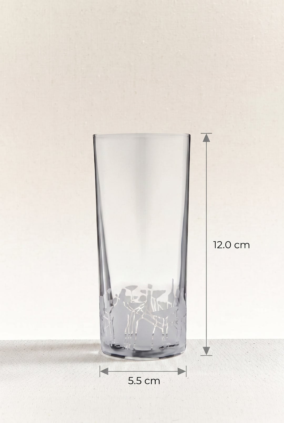Aydin Boysan 6'lı Rakı Bardağı Seti