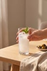 Timeless Rakı Bardağı